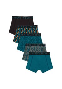 WE Fashion 5 PACK - Hlače - green blue