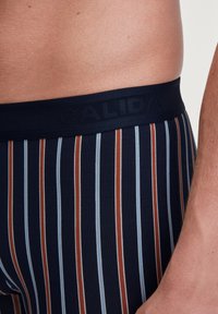 Marine gestreepte onderbroek met dunne strepen in blauw en roest. Elastische tailleband met het ingegraveerde "CALIDA". Zachte stof met een nauwsluitende pasvorm.