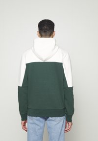 Jack & Jones EDAN BLOCKING - Mikina s kapucí - grün