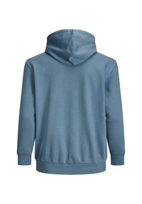 Hellblauer Kapuzenpullover, von hinten gezeigt, mit langen Ärmeln sowie gerippten Bündchen an Ärmeln und Saum.
