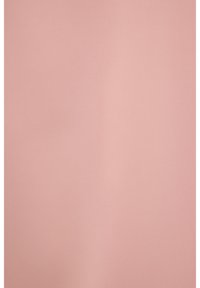 SLEEVELESS - Camicetta - powder