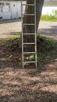 Kovové schody opreté o veľký kmeň stromu na dvore s štrkovým povrchom a bielou budovou v pozadí.