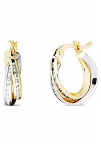 FAVS Orecchini - bicolor