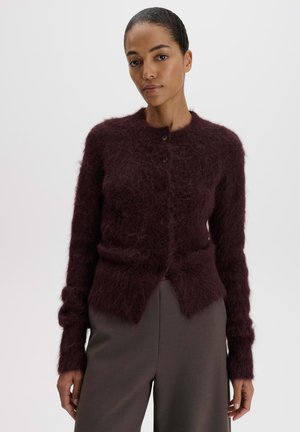 Vrouw draagt een donkerviolet pluizige vest met knopen en donkergrijze broek, staand tegen een eenvoudige lichte achtergrond.