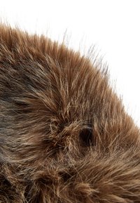 Detailní záběr husté, měkké hnědé srsti s různými odstíny a jemnými prameny, zobrazující texturu a přirozenou variaci na bílém pozadí.