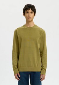 Mlad moški s kratkimi temnimi lasmi, oblečen v olivno zelen pulover z dolgimi rokavi in modre jeans hlače, stoji ob enobarvni beli ozadju.