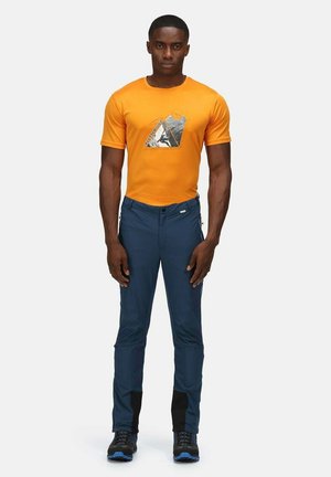 Regatta MOUNTAIN III - Trousers - blau