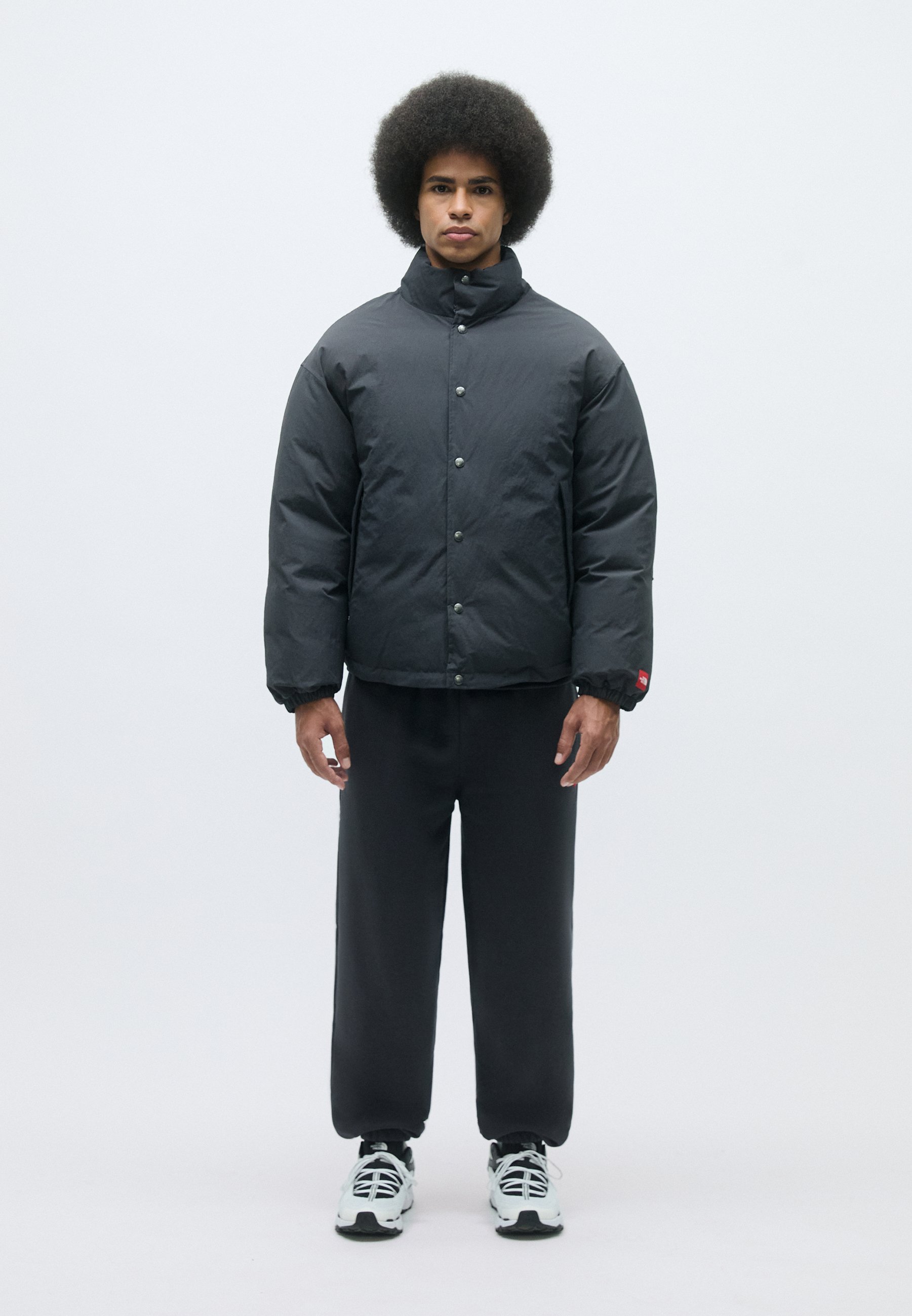 【最終値下】Jones jacket The North Face REDBOX JACKET - Down jacket - obsidian/dark