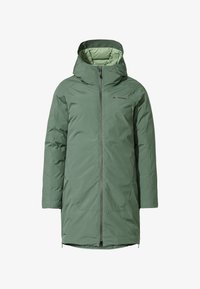 Unausgewählt, agave