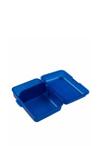Blaues Plastik-Mittagessenbehälter mit einem geteilten Inneren. Verfügt über einen flachen Deckel und zwei Fächer, von denen eines eine Trennwand für die Organisation hat.