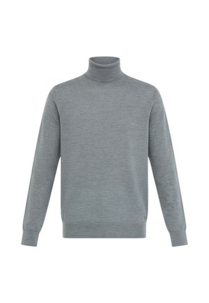 Maglione a collo alto grigio in materiale morbido con maniche lunghe, forma aderente e trama sottile. Design semplice senza motivi o accenti visibili.