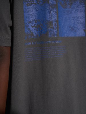 HALO T-shirt print - raven