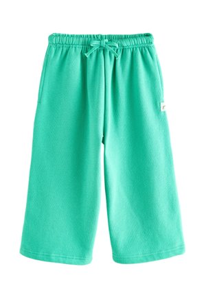 REGULAR FIT - WIDE LEG - Spodnji deli trenirk - green