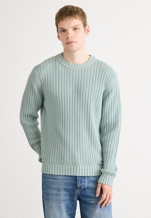 SRIBBEN - Strikkegenser - light pastel green