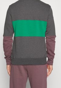 Sudadera gris oscuro con detalles en verde y morado. Presenta un diseño de bloques de color horizontal, puños acanalados y un dobladillo ajustado.