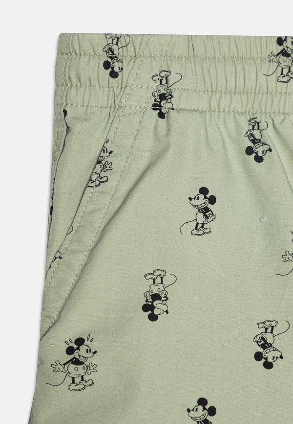 BOY - Shorts - desert sage3