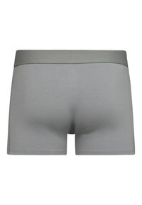 Grå boxershorts med en blød, glat tekstur. Har en bredere elastisk talje i en let mørkere grå nuance. Ingen synlige mønstre.