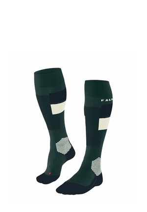 SK4 ADVANCED - Kniestrümpfe - holly