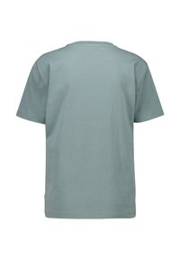 Baumwoll-T-Shirt in hellblau-grün, kurzärmelig, runder Ausschnitt, schlichtes Design ohne sichtbare Muster oder Akzente. Nur Rückansicht.