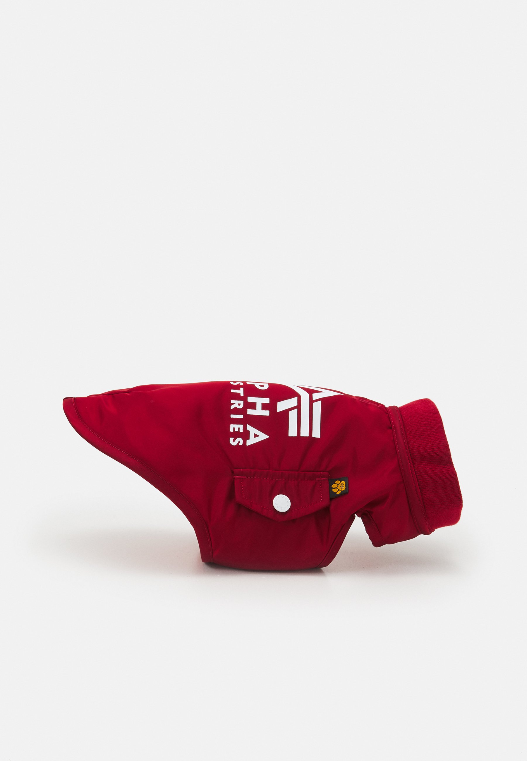 alpha industries dog