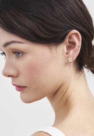 Tume juustega naine, kellel on selja taha pandud juuksed, kandes kuldset lillekujulist kõrvarõngast ja väikest teemantkivi kõrvarõngast ülemises kõrvas.