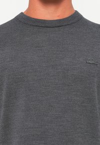 Gros plan sur une personne portant un pull en maille à côtes gris foncé avec un petit logo de crocodile brodé sur la poitrine gauche.