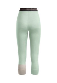 Mint green leggings with a black waistband displaying the brand name, featuring a beige accent at the cuffs, made from a soft, stretchy material.