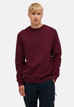 Jonge man met blond haar die een effen kastanjebruine trui met ronde hals en een donkere broek draagt, staand tegen een witte achtergrond.