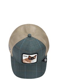 Gorra de cuadro azul-verde con una parte trasera de malla beige, que presenta un parche de gato con el texto "COOL". Está fabricada en tela, con detalles cosidos y una forma redondeada.