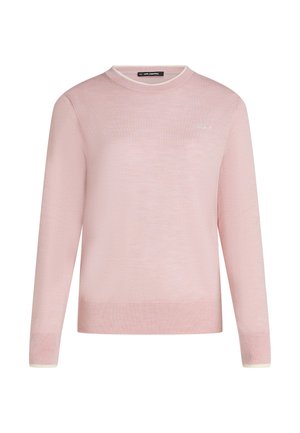 Pull rose clair à manches longues et col rond, avec poignets et ourlet côtelés, comportant un petit logo blanc en écriture sur la poitrine gauche.