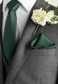 Next SET REGULAR FIT - Einstecktuch - forest green