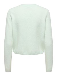 Hellgrüner, kurz geschnittener Pullover mit langen Ärmeln, rundem Ausschnitt und weichem, strukturiertem Stoff. Keine sichtbaren Verschlüsse oder Muster.
