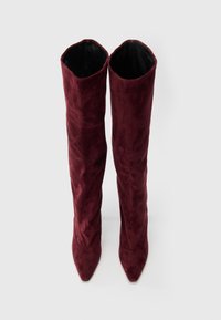 Un paio di stivali alti, con punta a martello, in suede bordeaux visti dall'alto su uno sfondo bianco semplice.