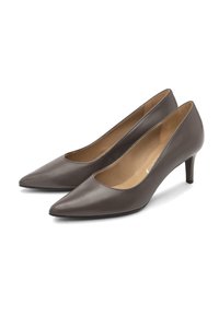 Par črnih usnjenih ženskih čevljev s koničastim prstom in srednjim petam, postavljenih pod kotom desno na belem ozadju.