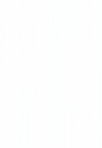 Două tinere stau la o masă, fiecare folosind un laptop, cu caiete, telefon și căni lângă ele, într-un birou luminos.