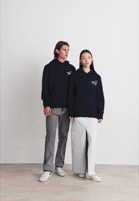 Tommy Jeans ENTRY GRAPHIC HOODIE UNISEX - Sportska majica - dark night navy