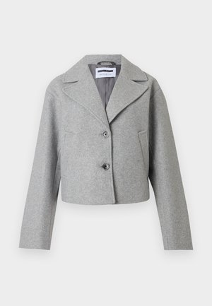 Ανοιχτό γκρι cropped παλτό από μίγμα μαλλιού με φαρδιούς γιακάδες, δύο κουμπιά, πλαϊνές τσέπες και μακριά μανίκια με φόντο το λευκό.