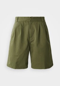MARV SHORT LENEXA - Shorts - turtle stone washed