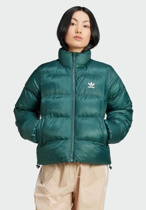 PUFFER - Zimska jakna - mineral green