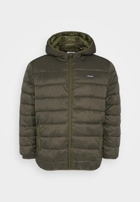 Olivgrön vadderad jacka med isolering, dragkedja framtill, huva och sidofickor. Har sydda paneler och slät textur.