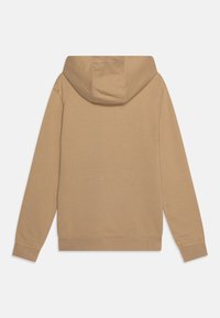 Tan hoodie made of soft fabric, featuring a drawstring hood, long sleeves, and a standard fit with a ribbed hem and cuffs.