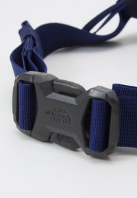 The North Face JESTER LUMBAR UNISEX - Diržinis krepšelis - hunter green/eagle blue