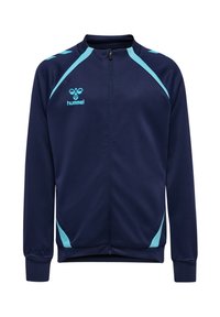 Unselected, marine blue fish