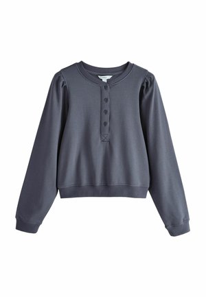 Donkergrijze pullover met lange mouwen, ronde hals en vierknops sluiting, geribbelde manchetten en zoom, minimalistisch ontwerp.