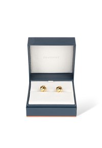 Gold earrings with a twisted design, presented in a navy blue box with a soft white interior. Branding visible inside the lid.