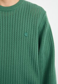 Carhartt WIP CALEB  - Jersey de punto - duck green