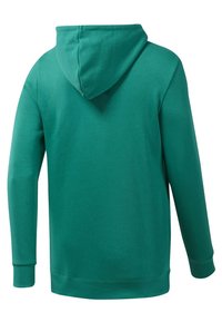 Sweat à capuche vert, mélange de coton. Comprend des manches longues, une poche kangourou, des poignets côtelés et une texture douce.