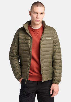 Timberland AXIS PEAK DURABLE - Veste d'hiver - leaf green
