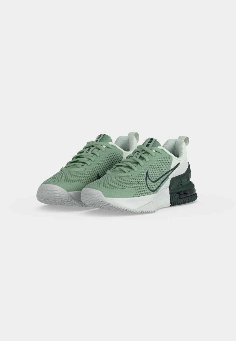 Nike Performance AIR MAX ALPHA 6 - Sportovní boty - steam/black spruce/spruce aura/off white/flat silver-coloured