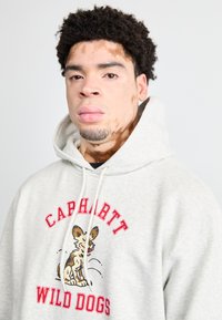 Sudadera gris de tela suave con un gráfico frontal que presenta el texto "Carhartt Wild Dogs" en rojo y una ilustración de un perro.